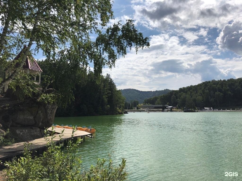 Берёзка - фото 22