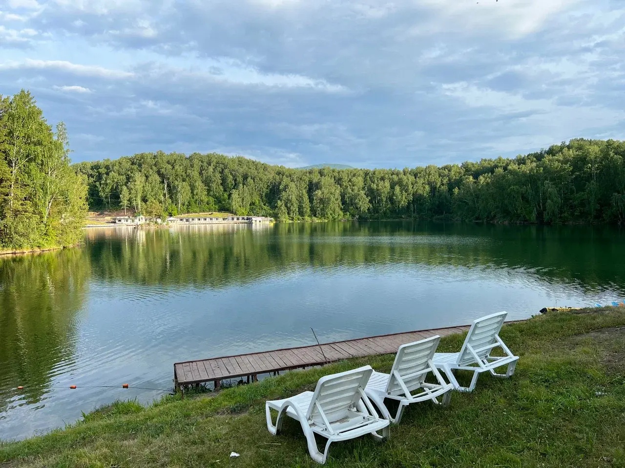 Берёзка - фото 26