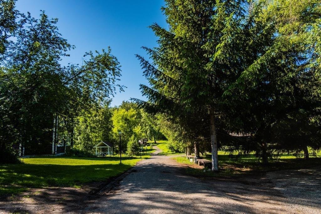 Берёзка - фото 29