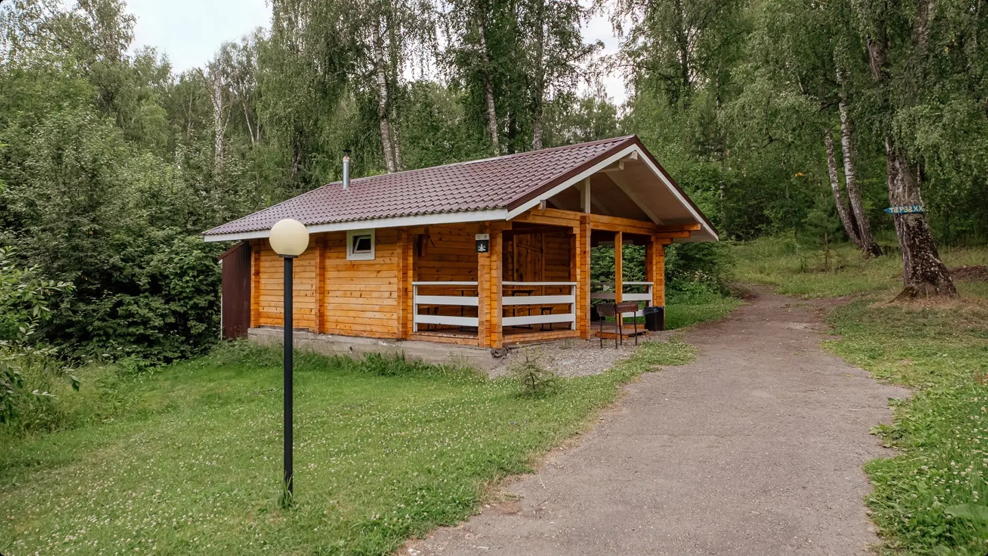 Берёзка - фото 31