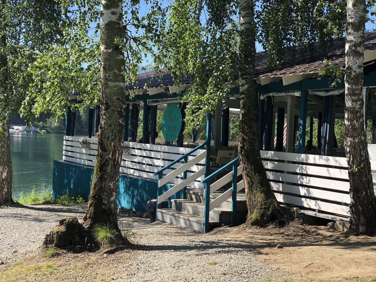 Берёзка - фото 32