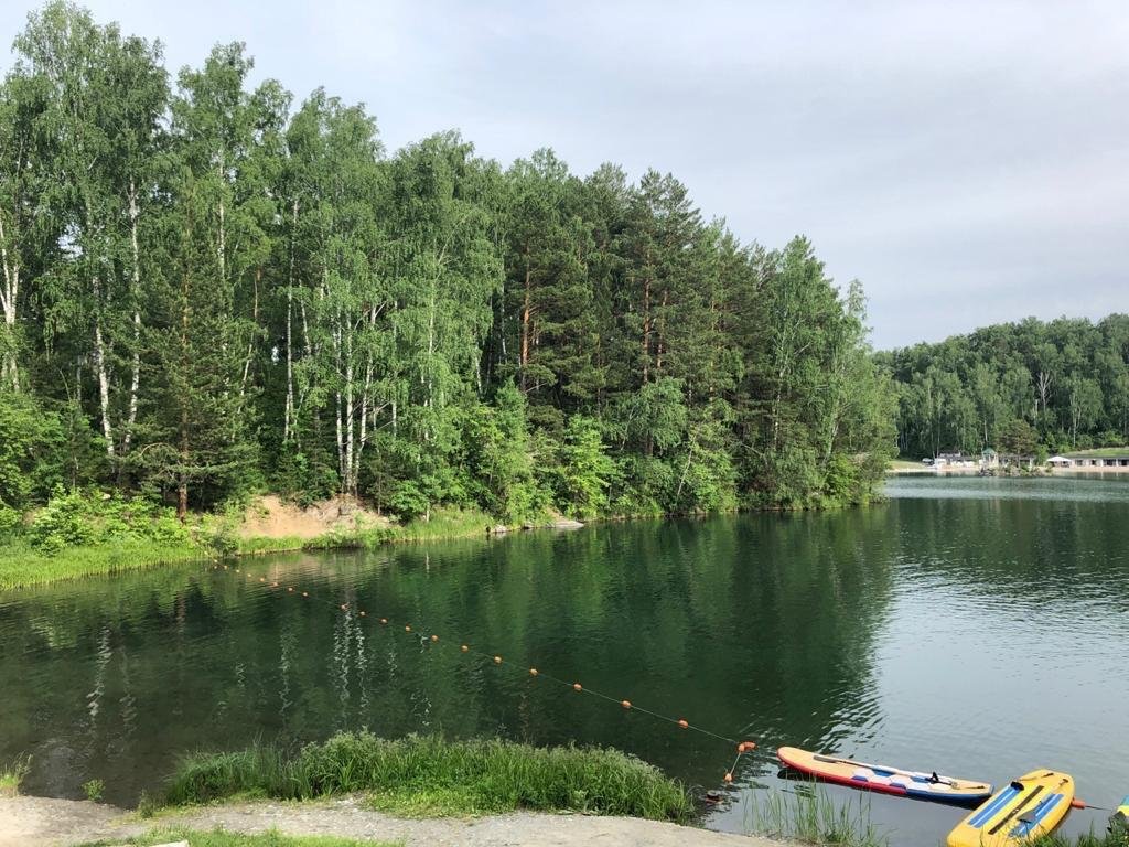 Берёзка - фото 34