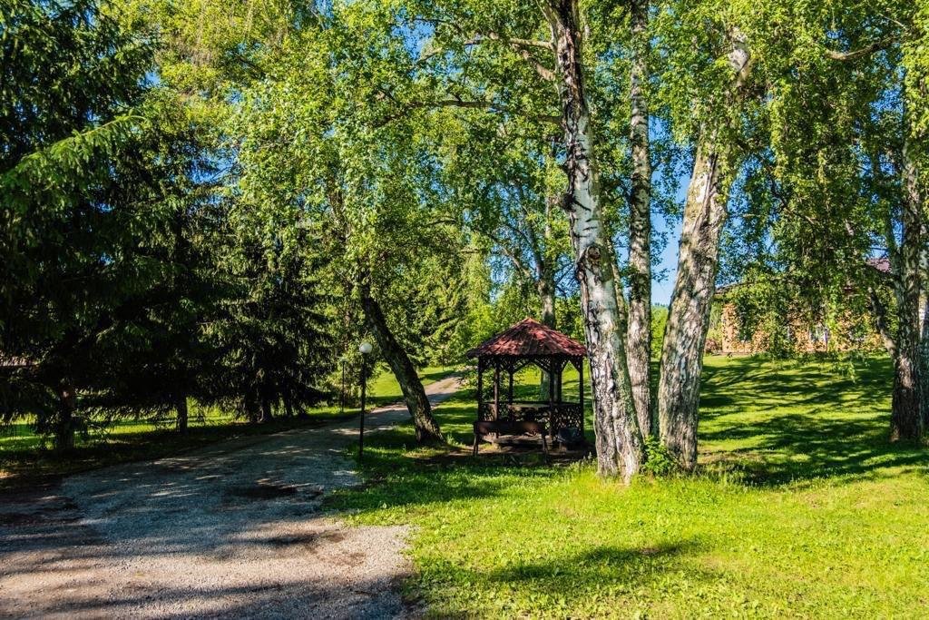 Берёзка - фото 36