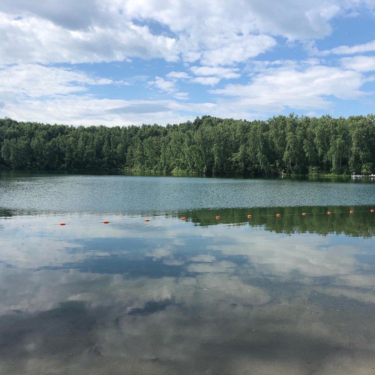 Берёзка - фото 40