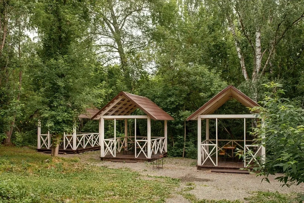 Берёзка - фото 41