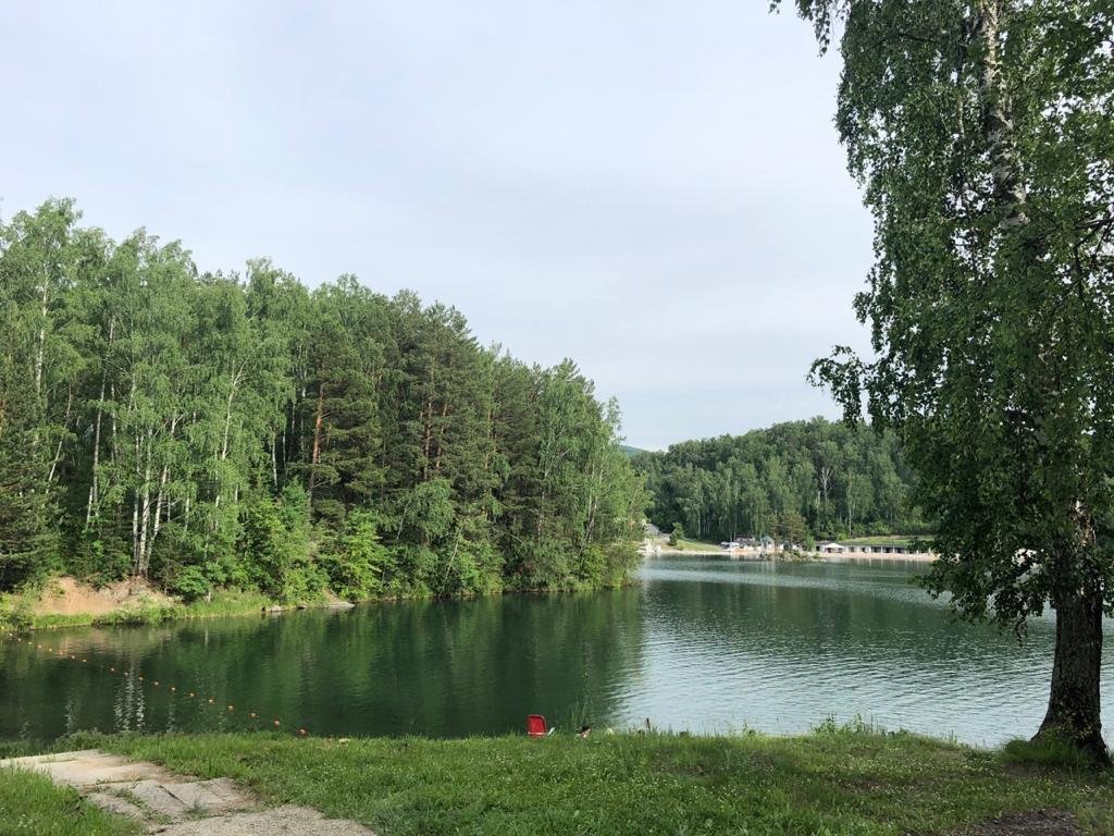 Берёзка - фото 42