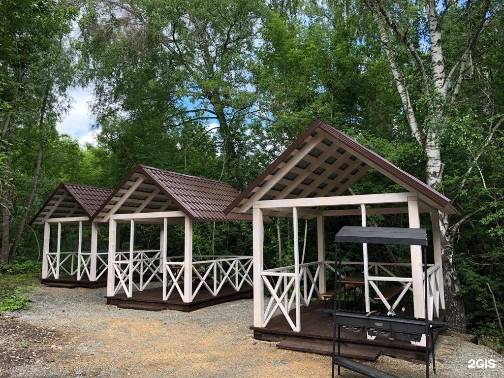 Берёзка - фото 45