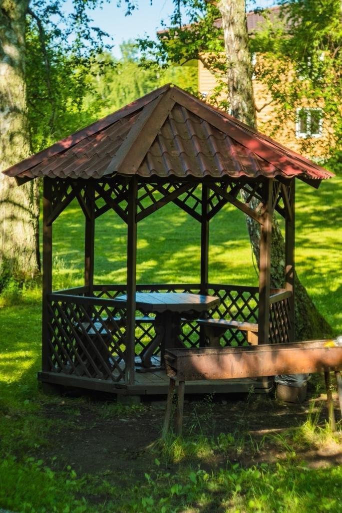 Берёзка - фото 48