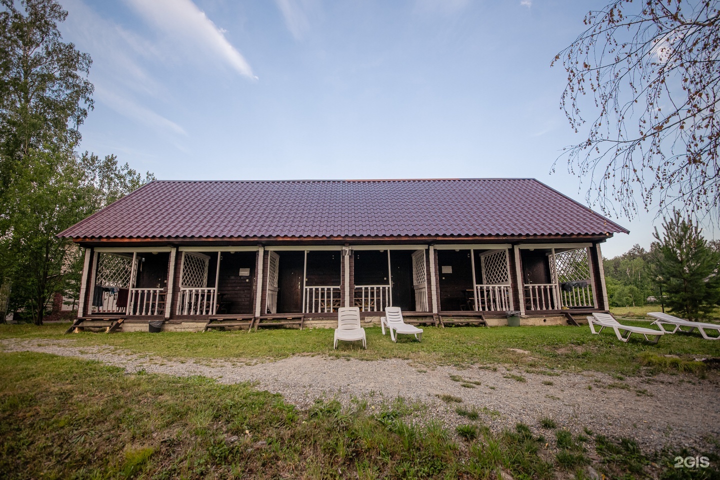 Берёзка - фото 49