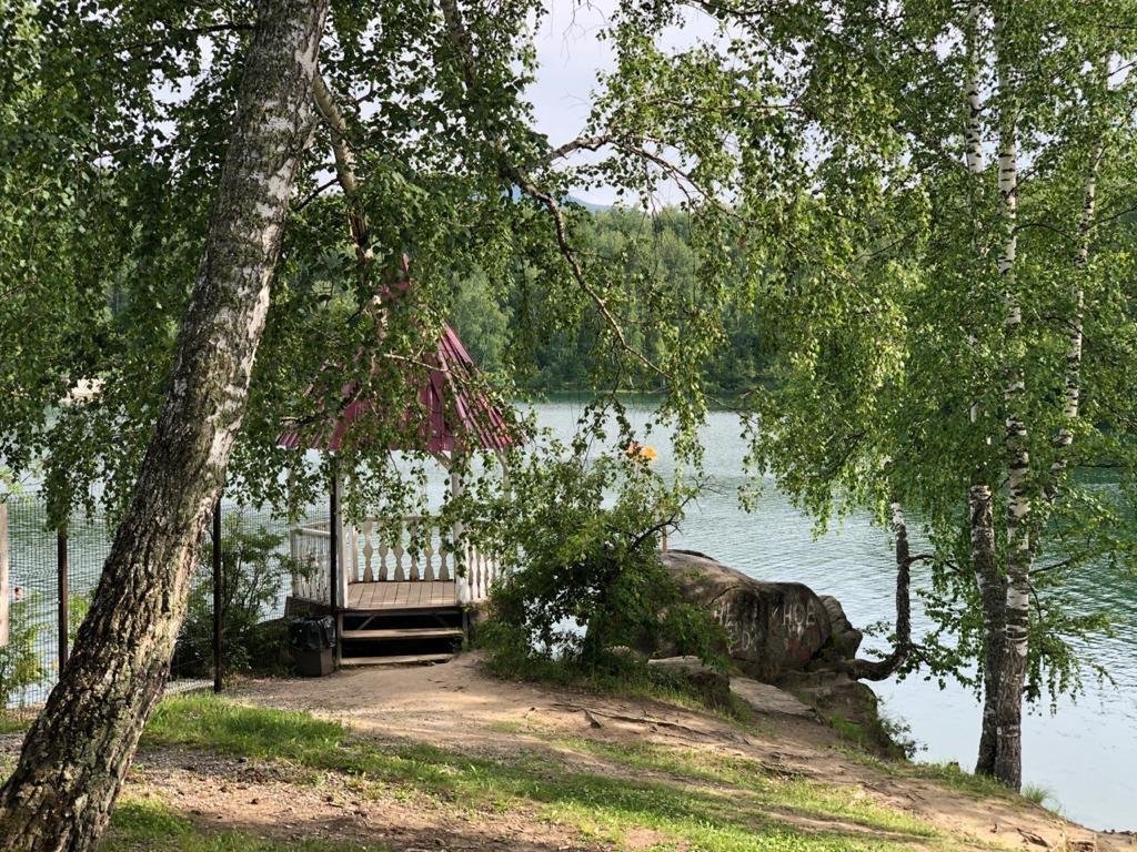 Берёзка - фото 50