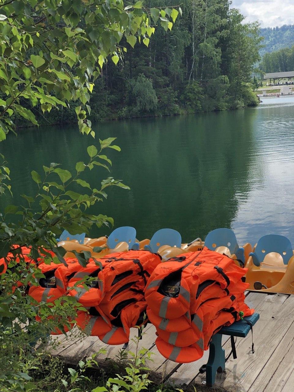 Берёзка - фото 51