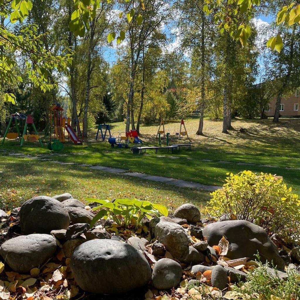 Берёзка - фото 56