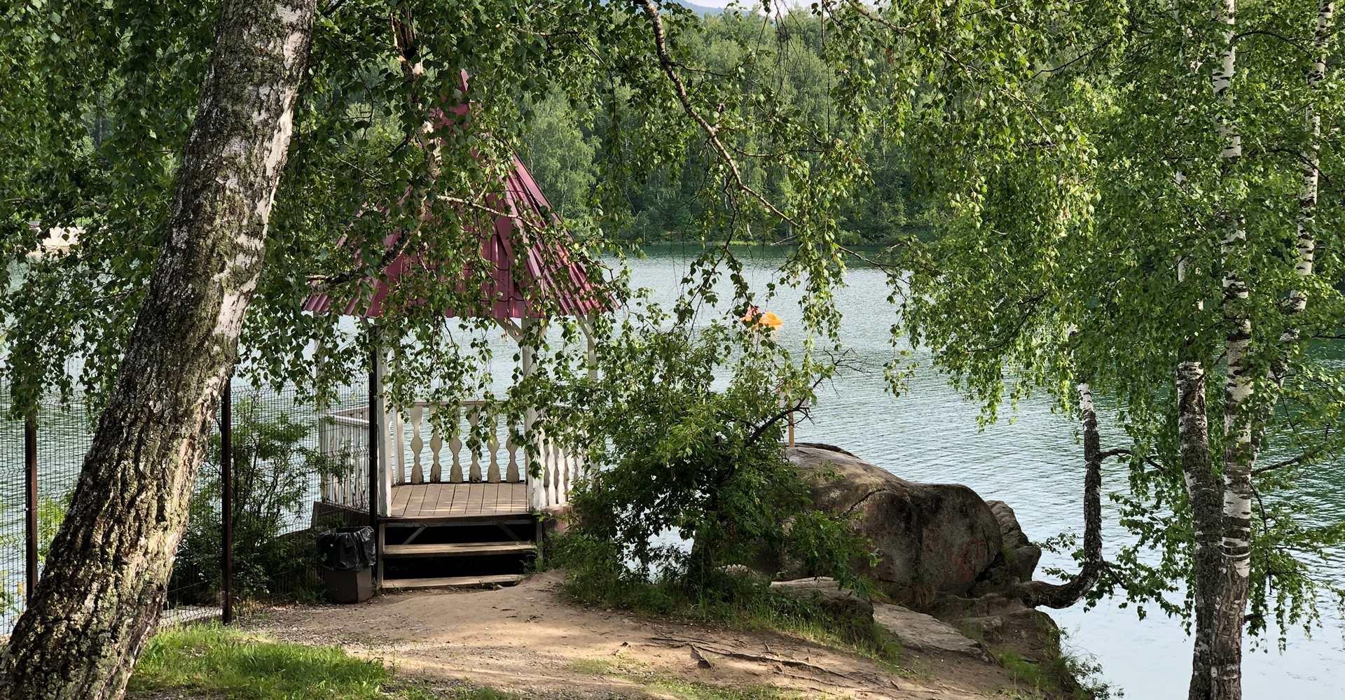 Берёзка - фото 60