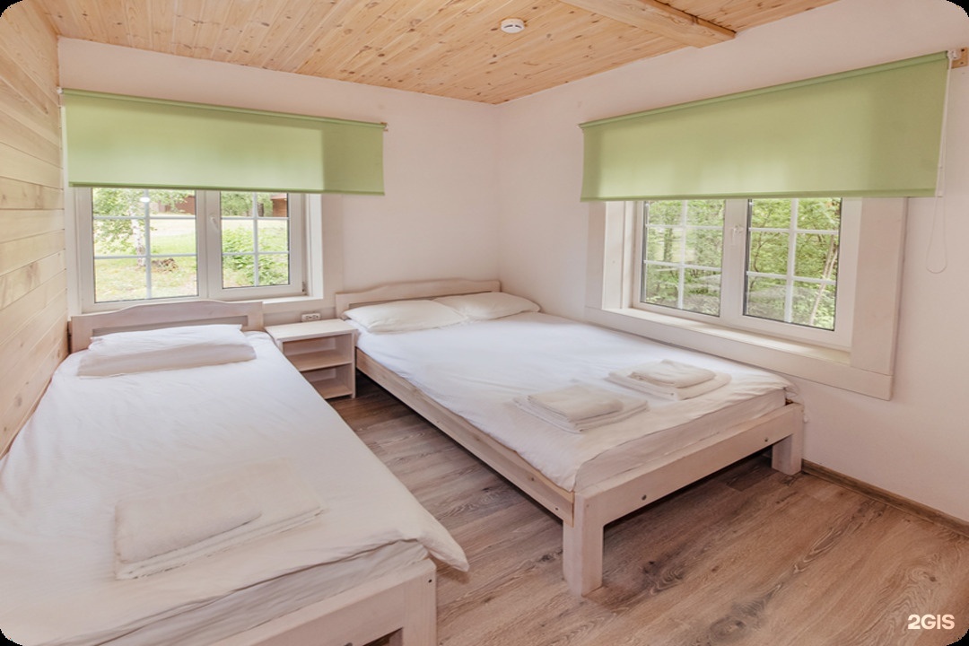 Берёзка - фото 61