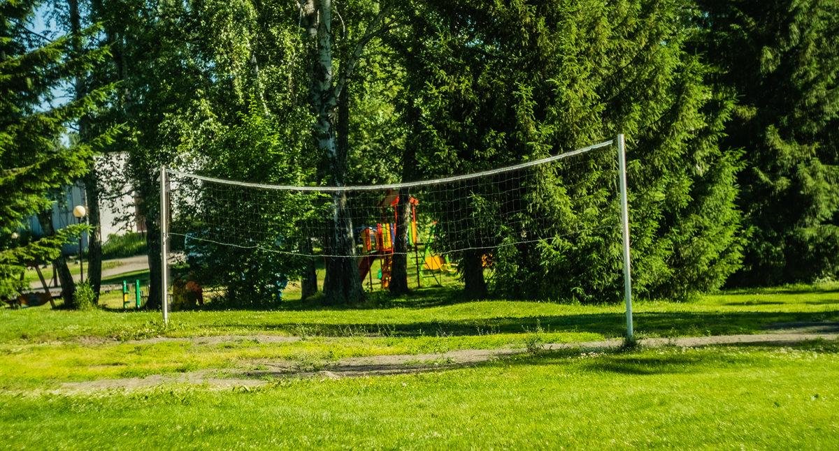 Берёзка - фото 69