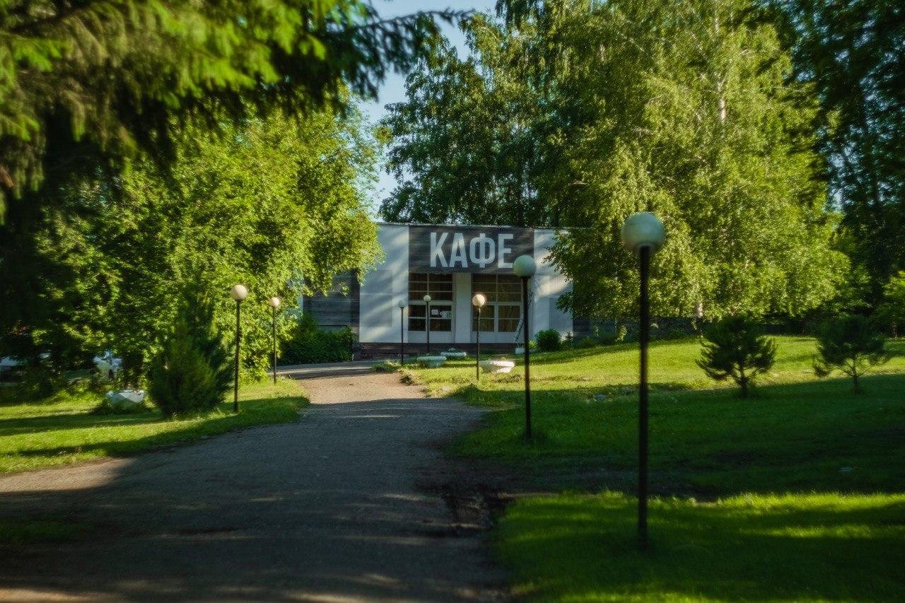 Берёзка - фото 77