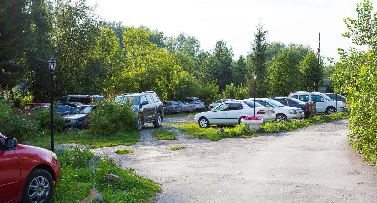 Берёзка - фото 81