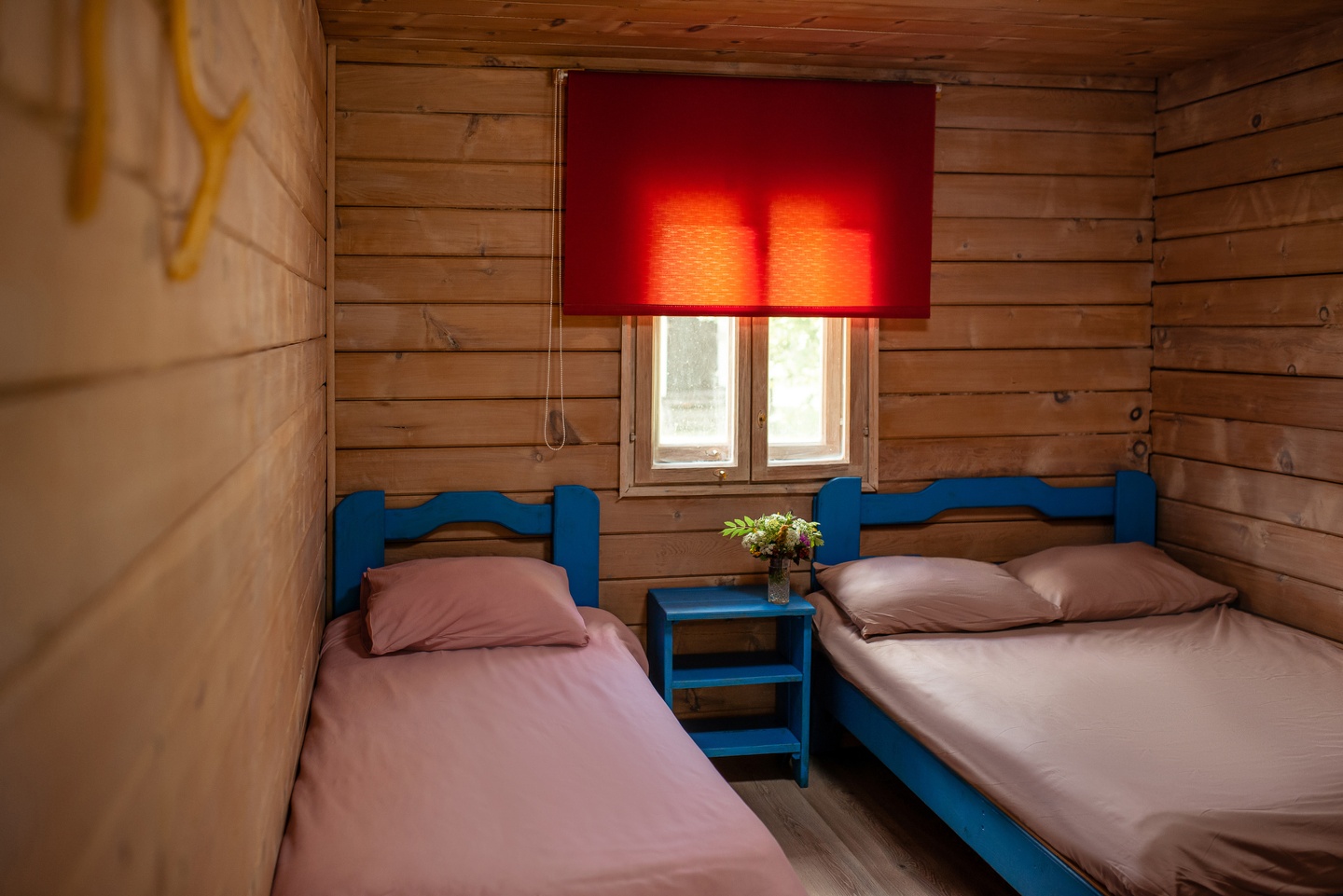 Летний Кедровый корпус (ЛК+) - фото 1