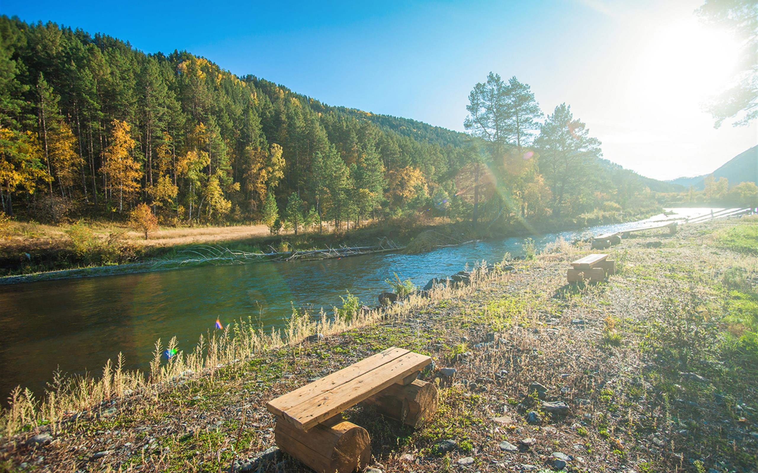 Островок - фото 17