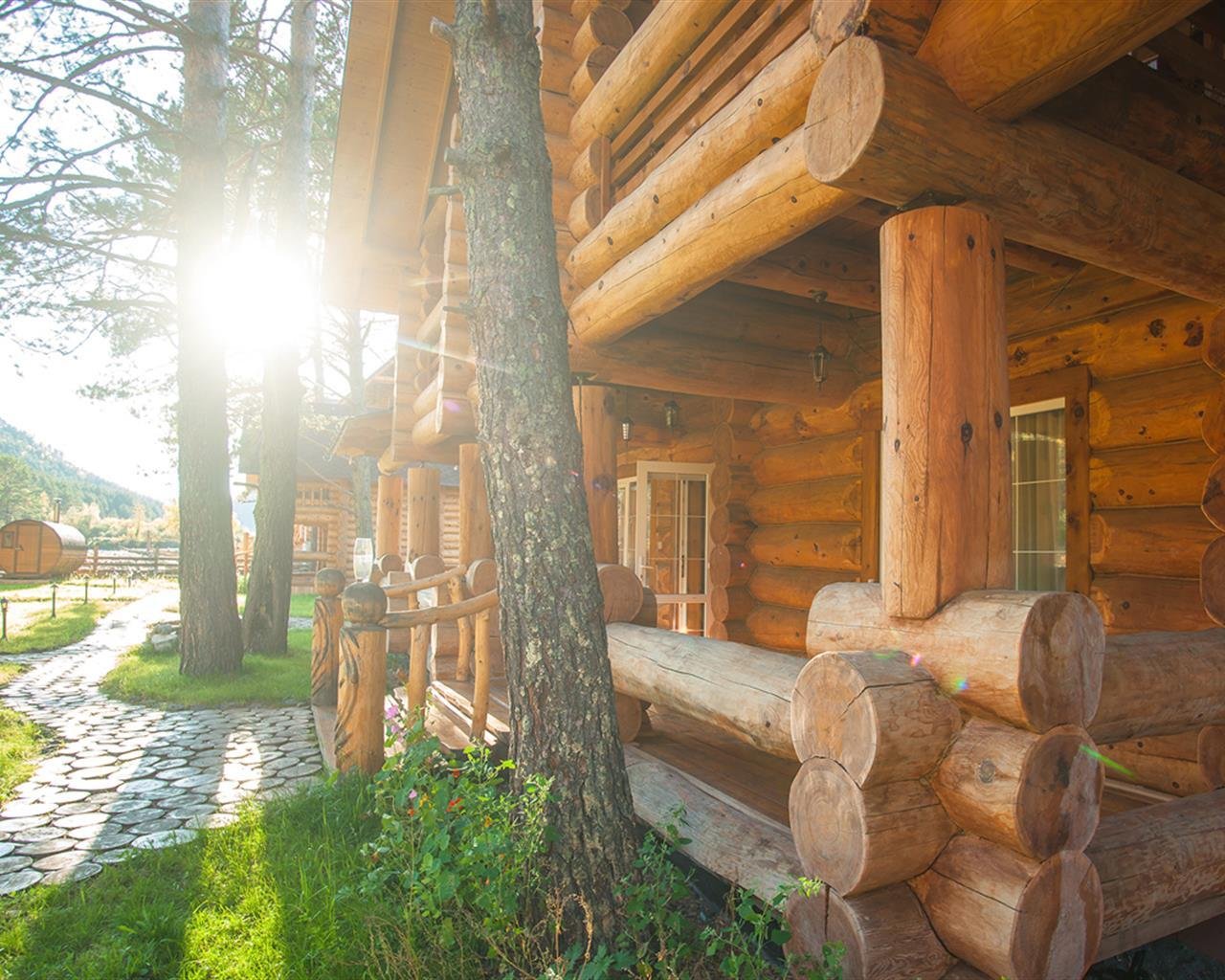 Островок - фото 22