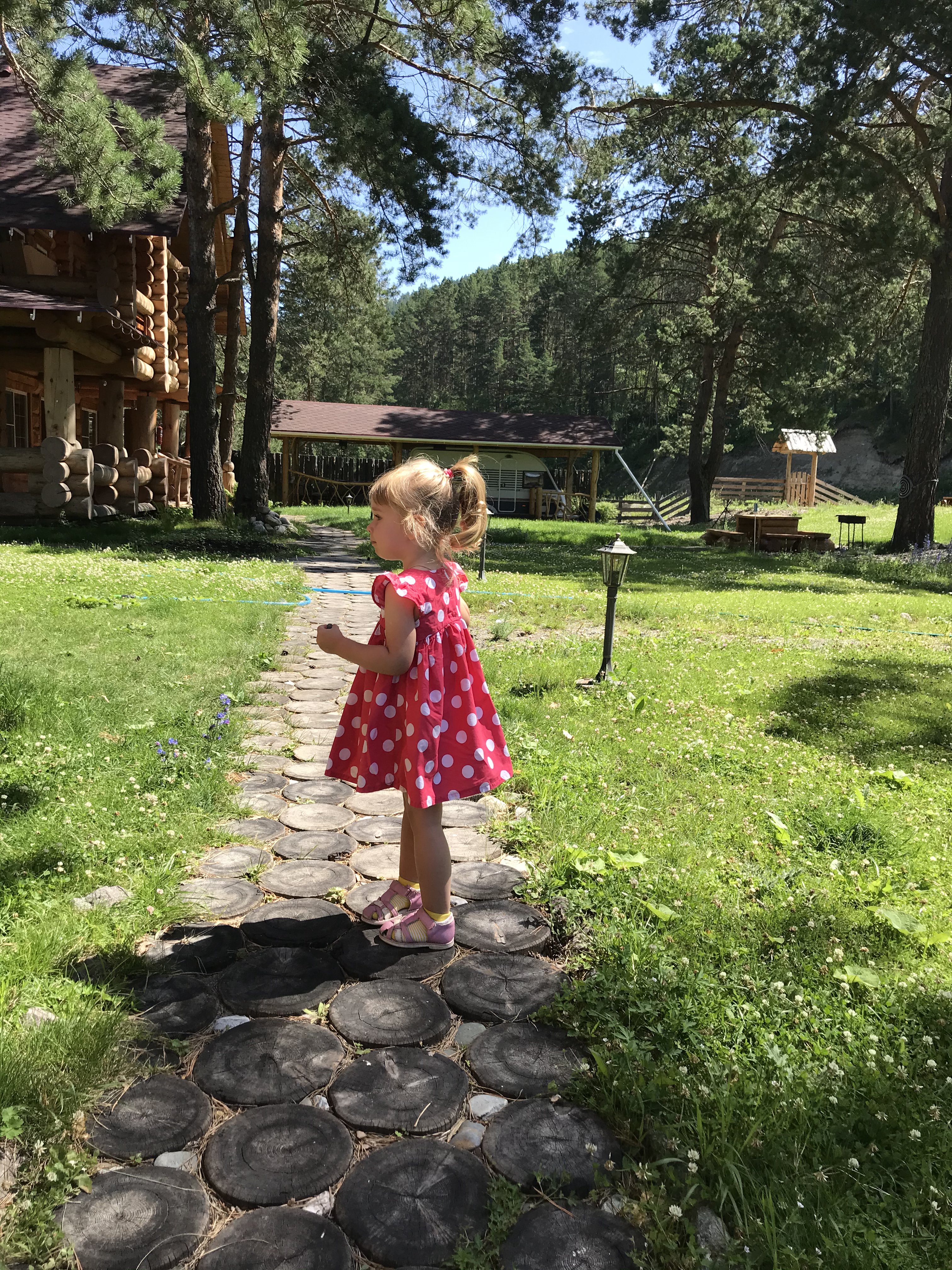 Островок - фото 33