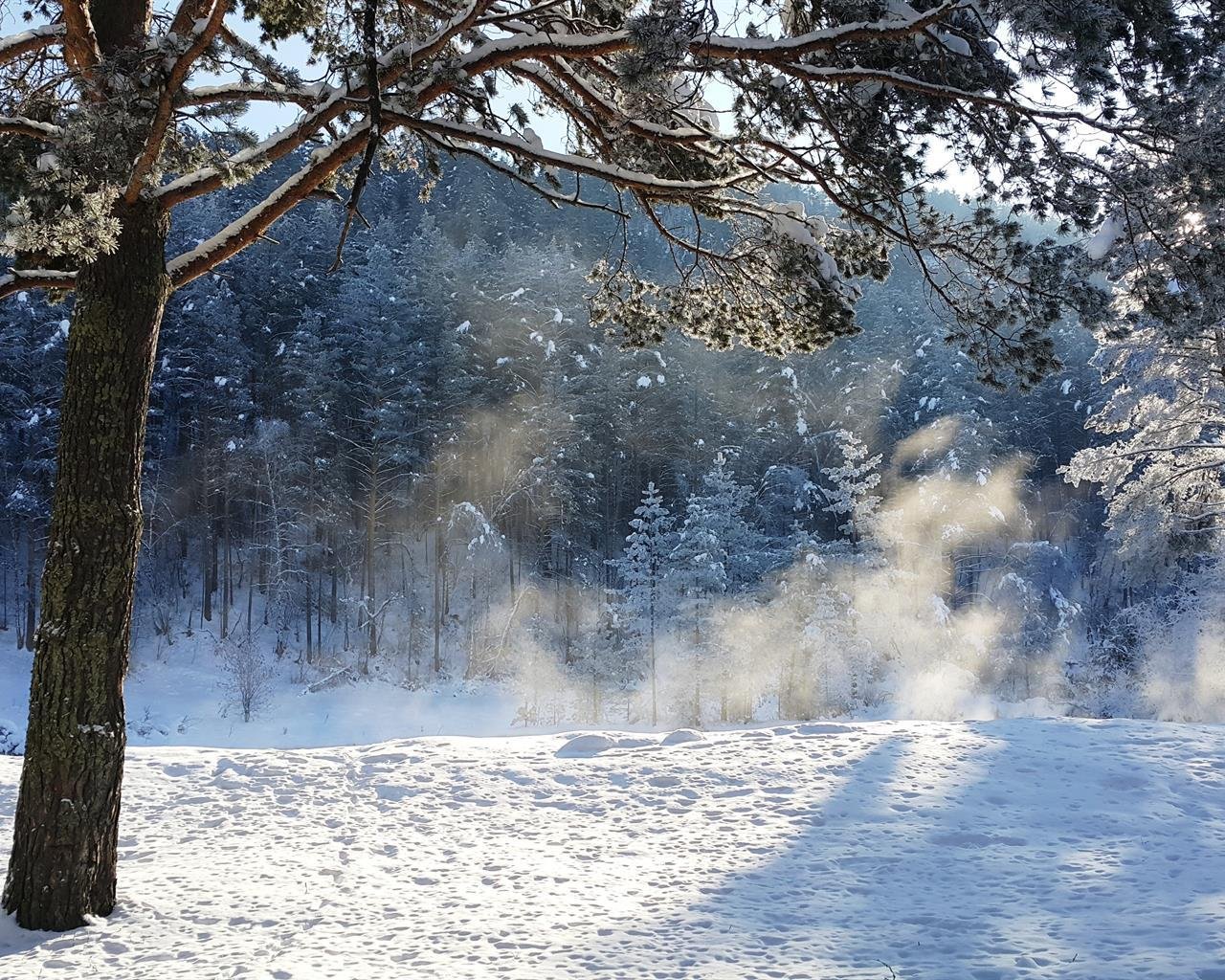 Островок - фото 35