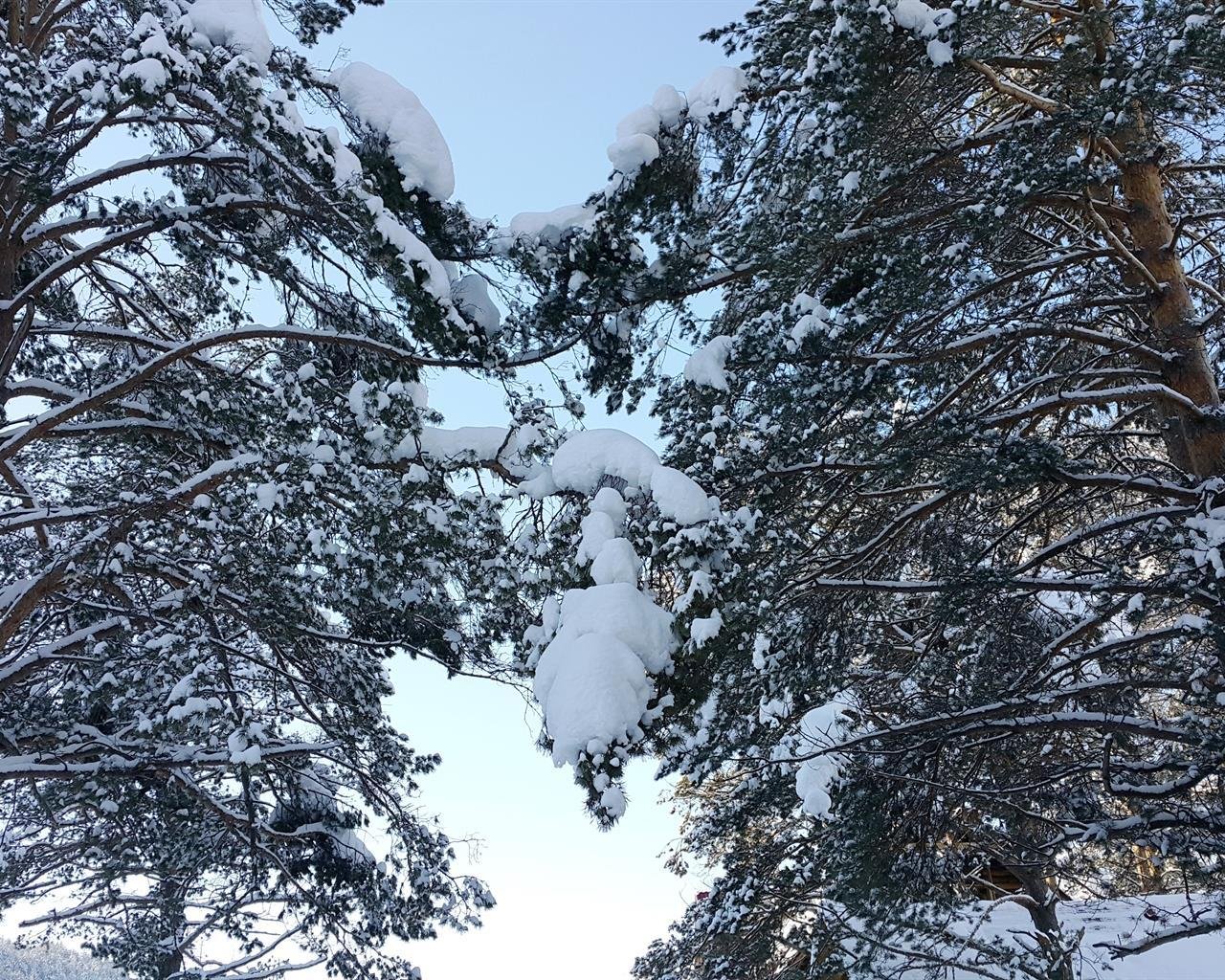 Островок - фото 36