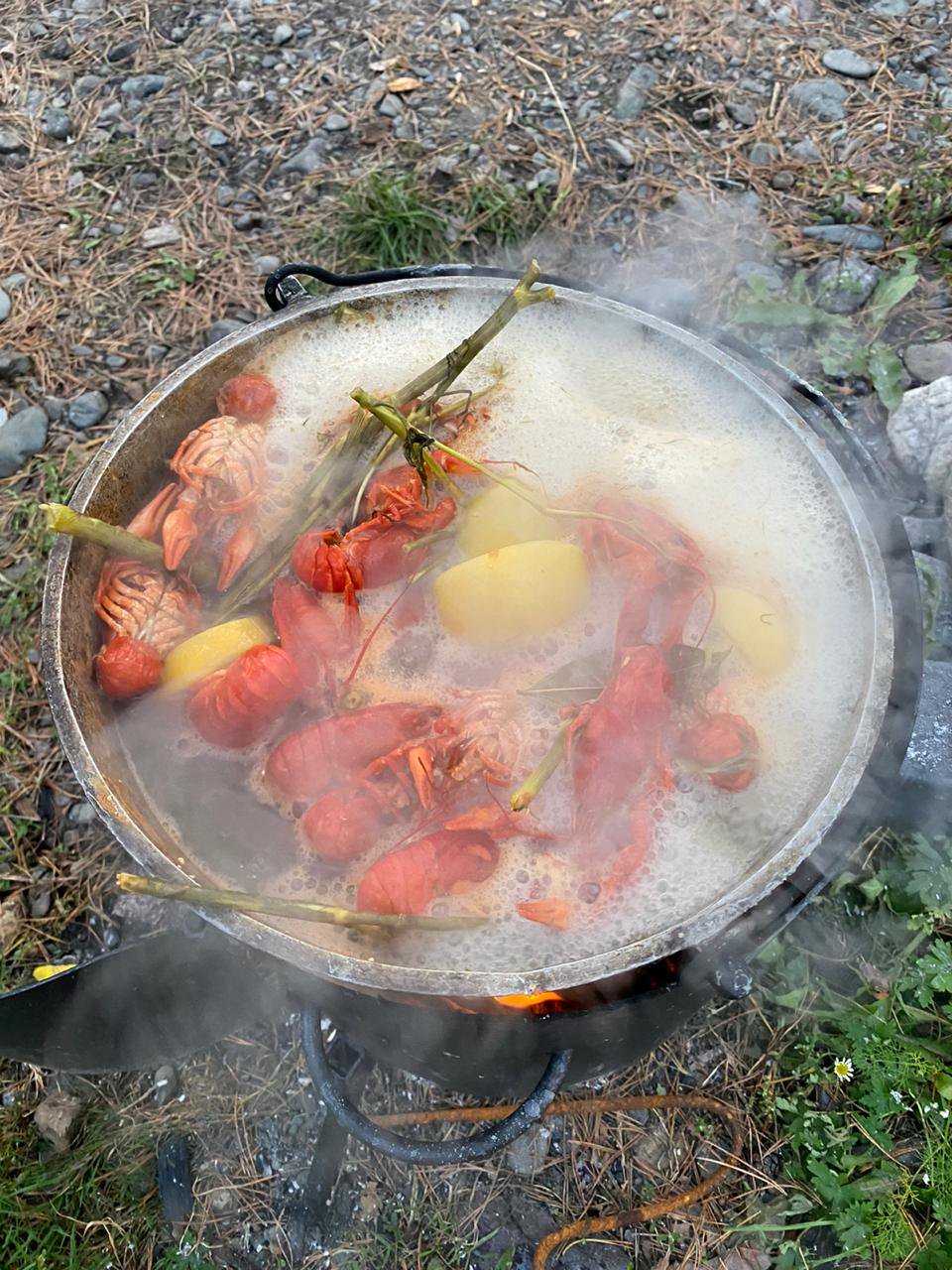 Островок - фото 38