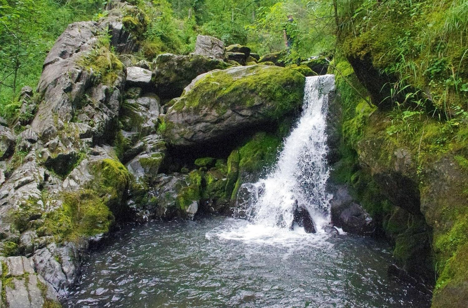 Алтын-Кёль - фото 56