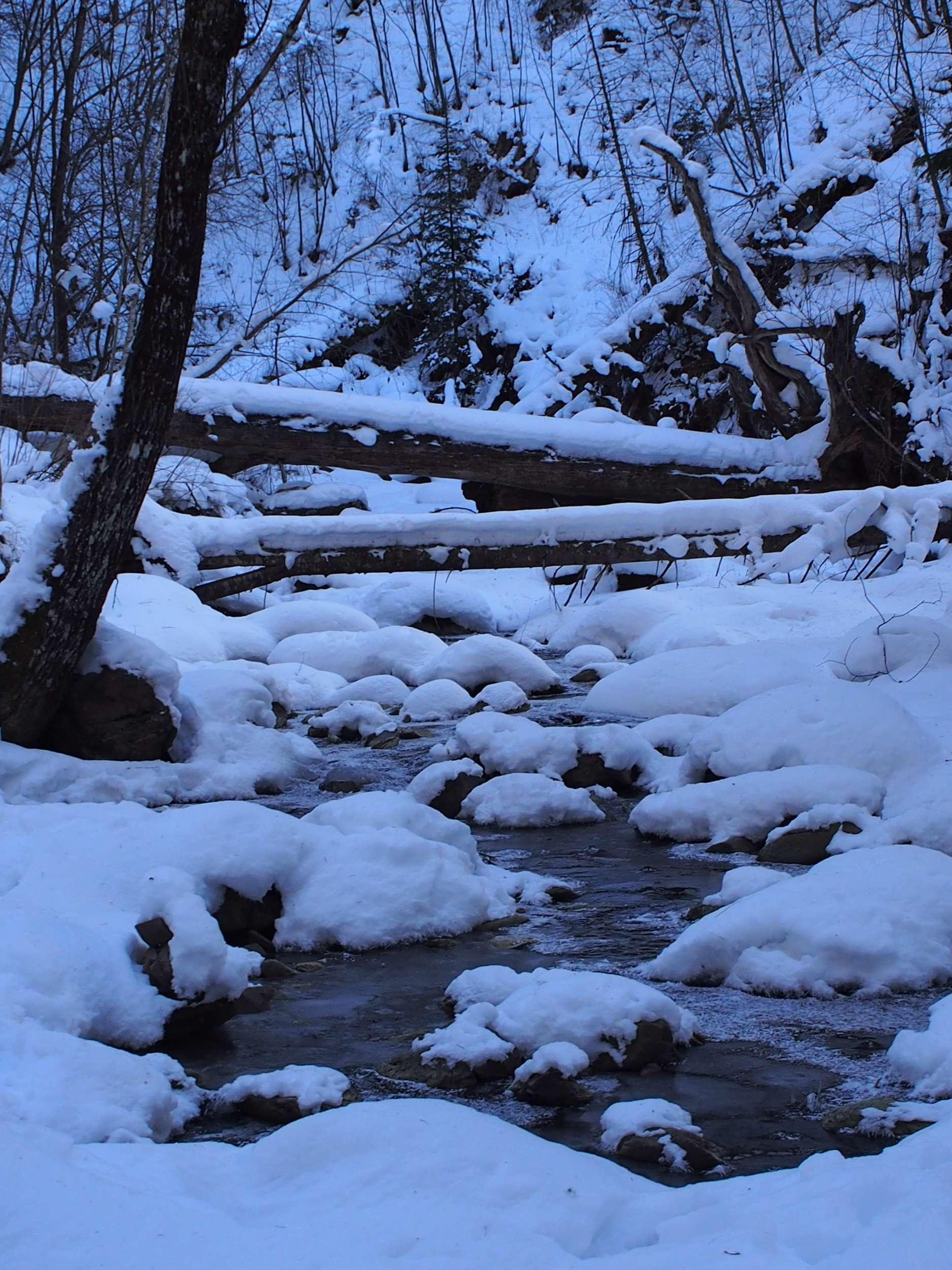 Алтын-Кёль - фото 83