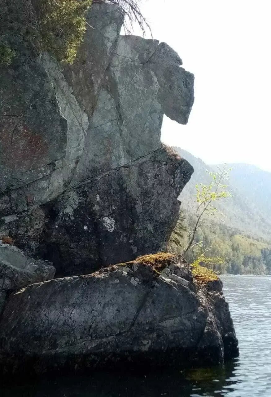 Алтын-Кёль - фото 85