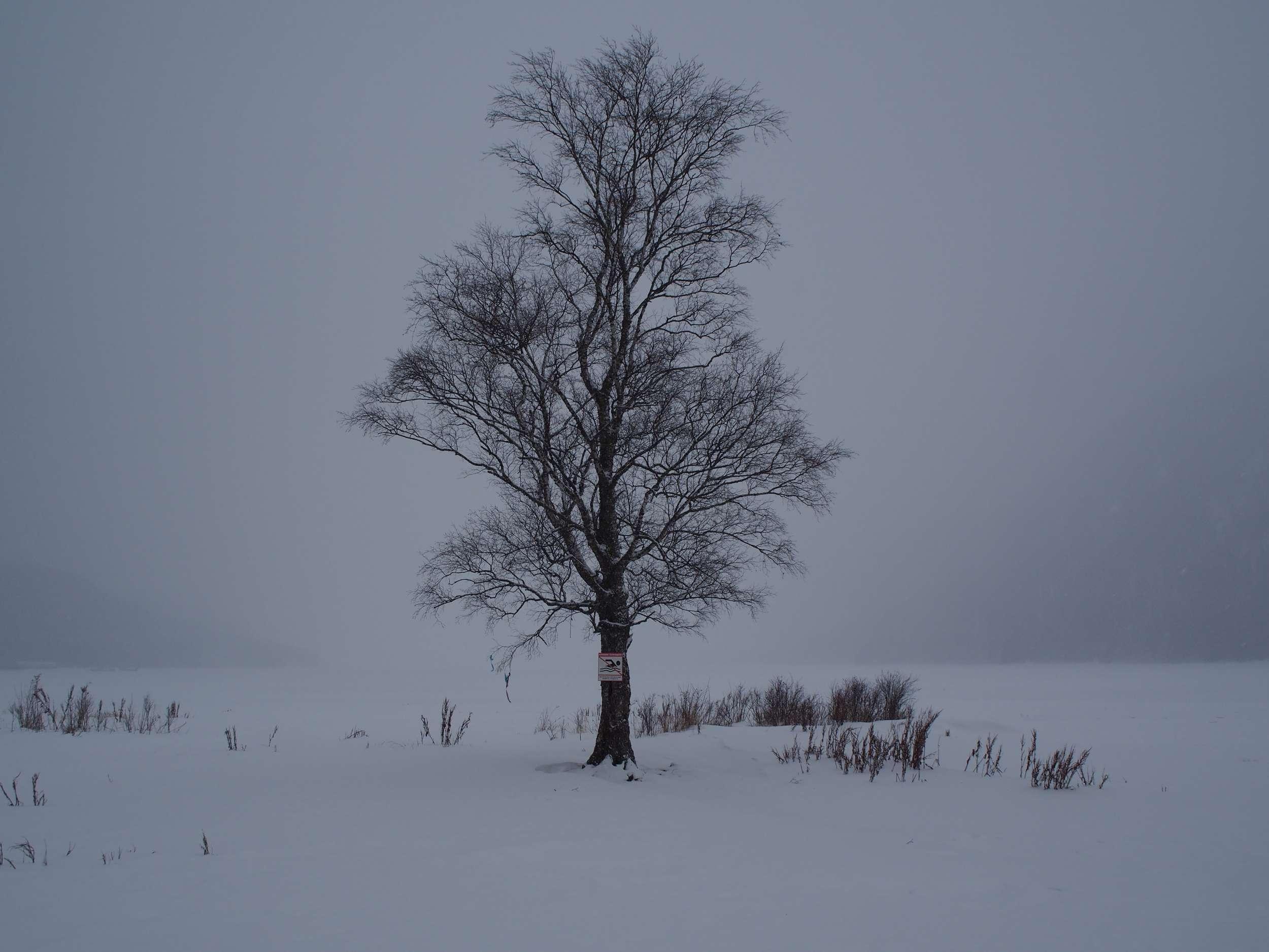 Алтын-Кёль - фото 95