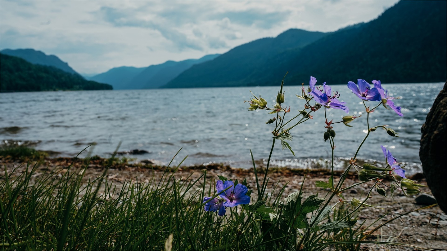 2-местный 2-комнатный стандарт первой категории Главный корпус 2 балкона - фото 10