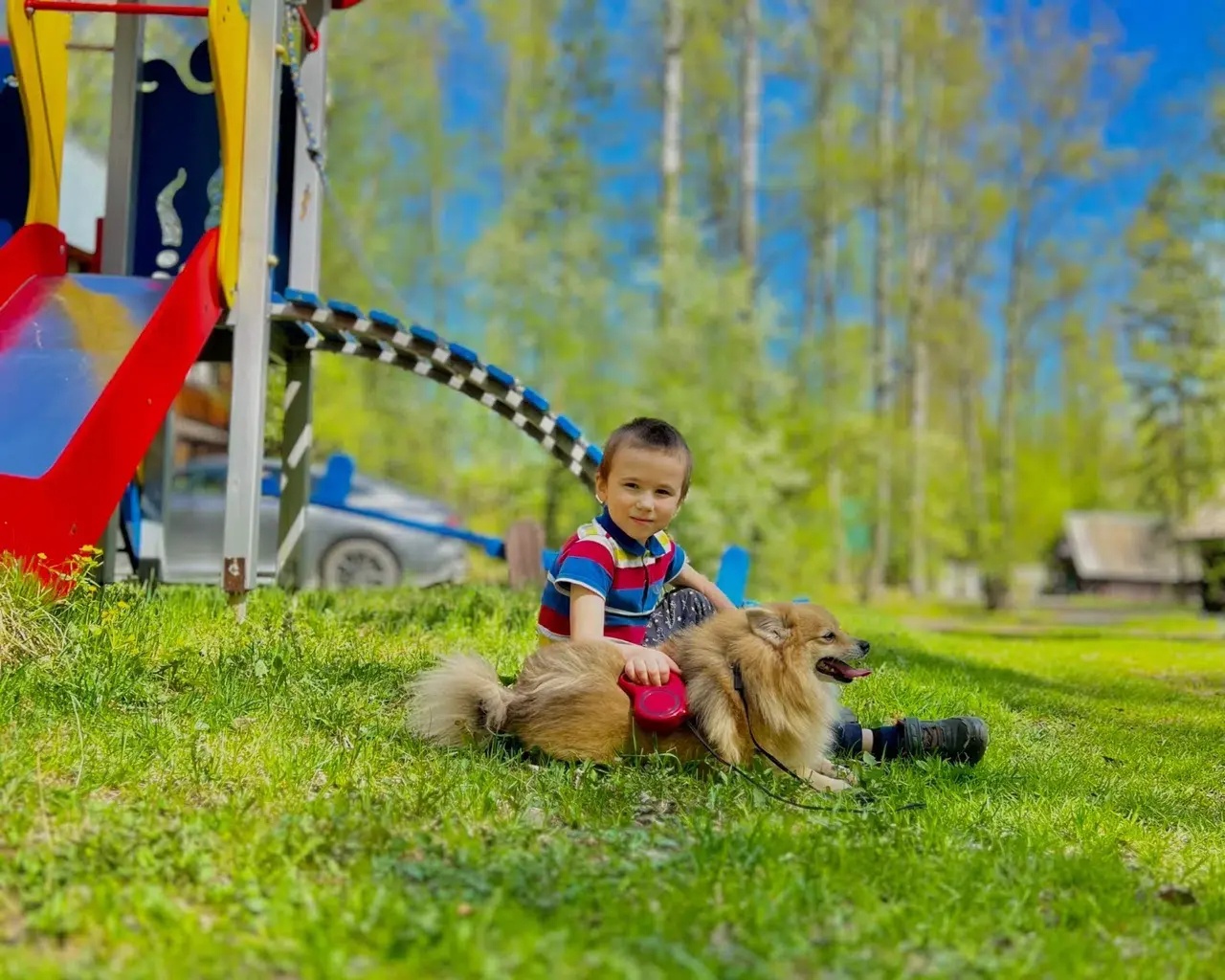 Иверия - фото 23