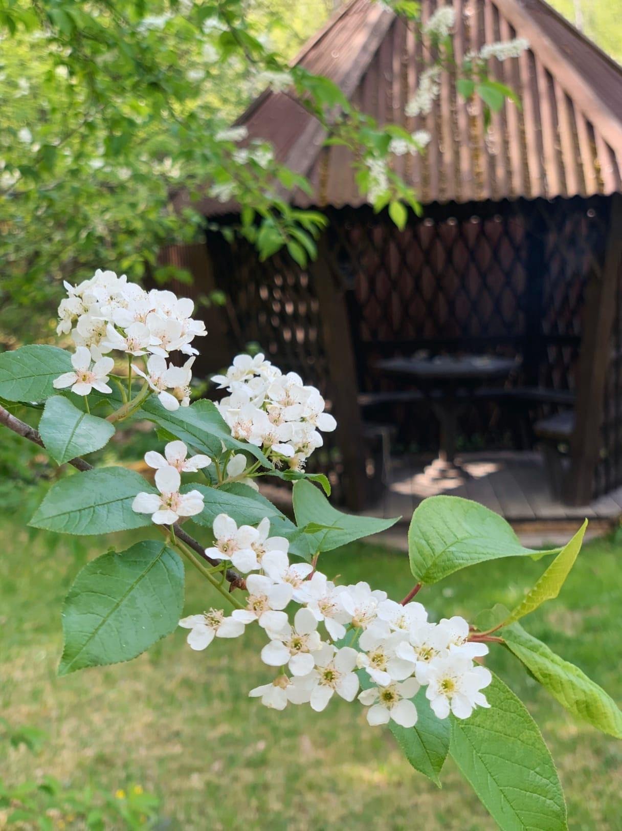 Иверия - фото 26