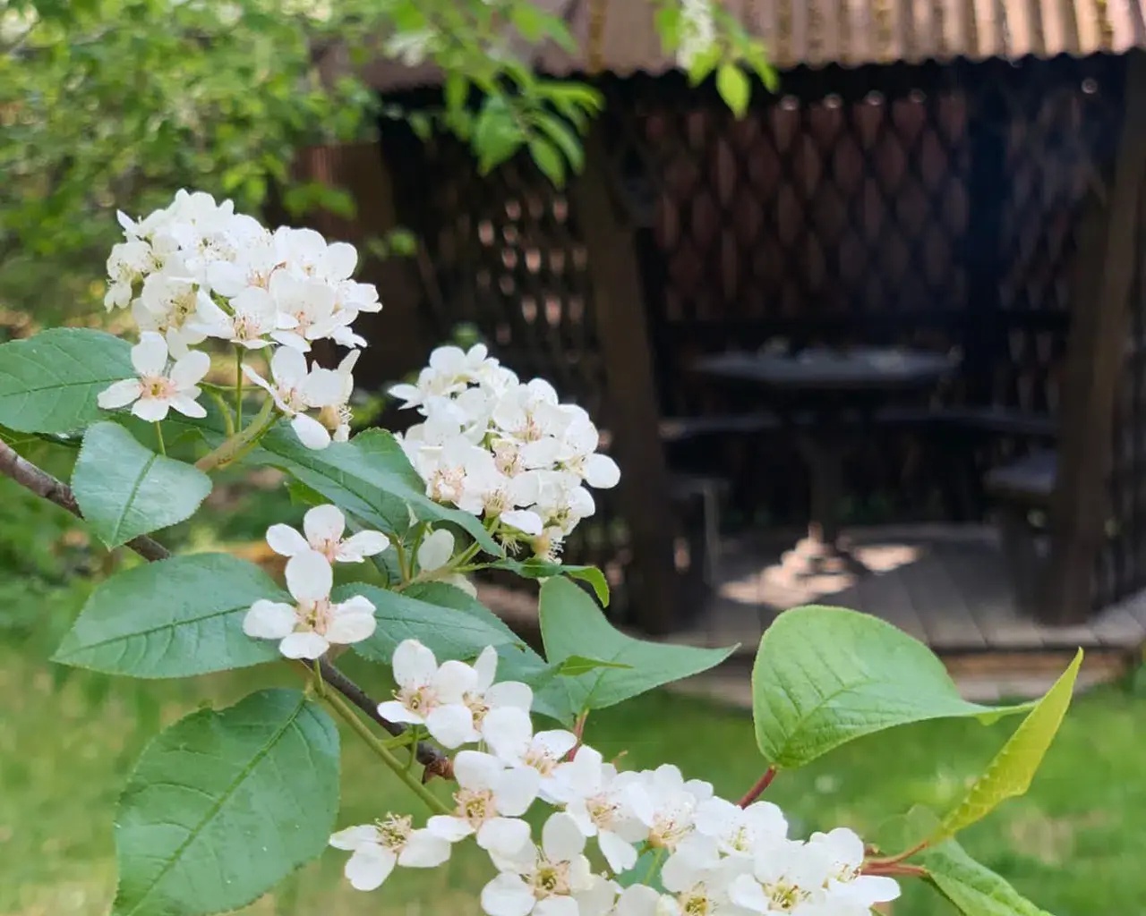 Иверия - фото 27