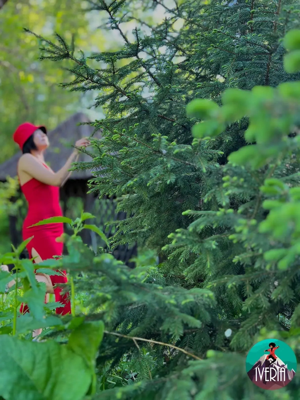 Иверия - фото 41