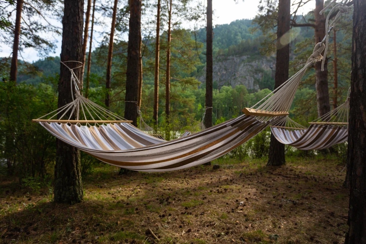 Sol Алтай - фото 49