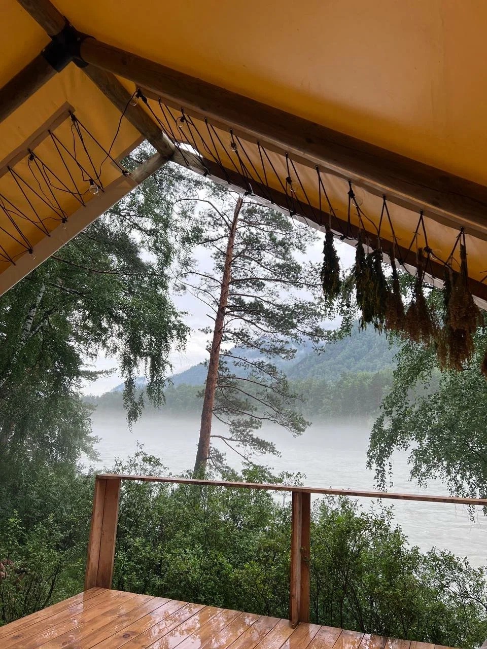 Sol Алтай - фото 78