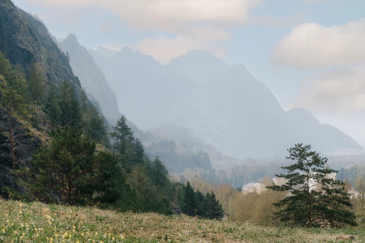 Sol Алтай - фото 86