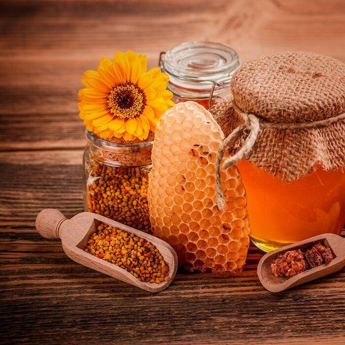 Медуница - фото 15