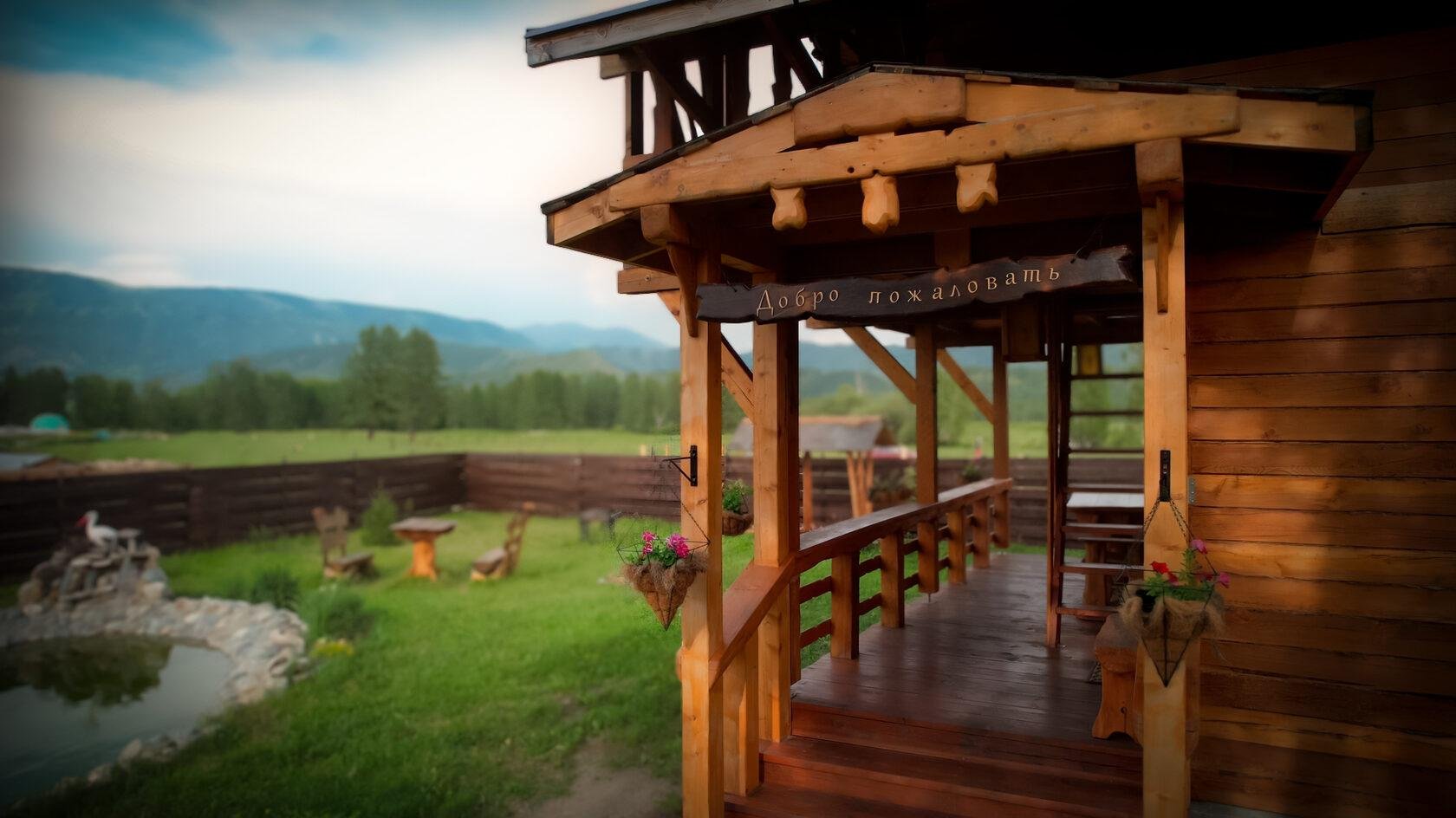 Медуница - фото 24