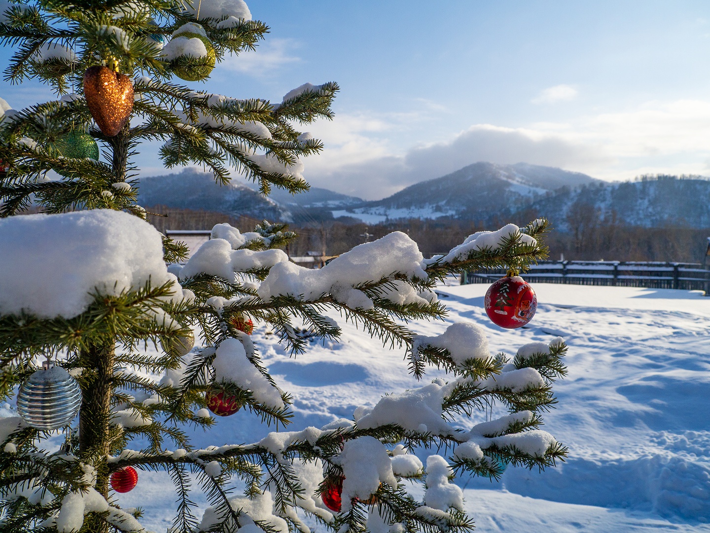 Усадьба Сокол - фото 11