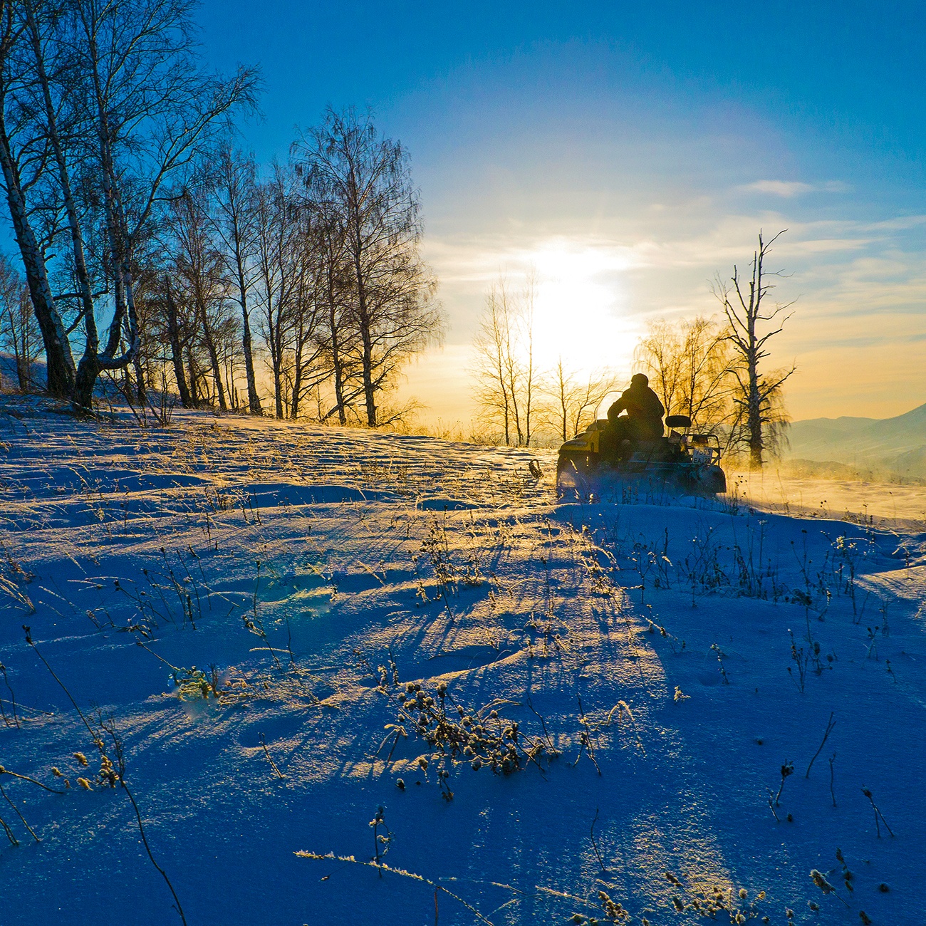 Усадьба Сокол - фото 15