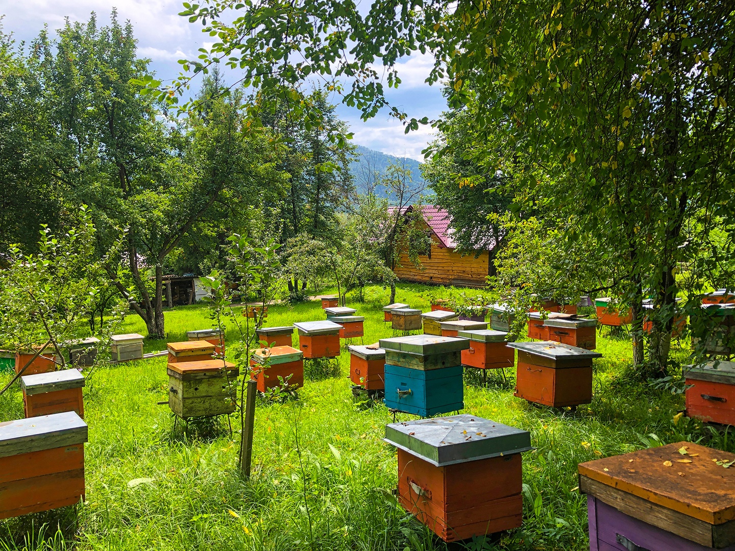 Усадьба Сокол - фото 19