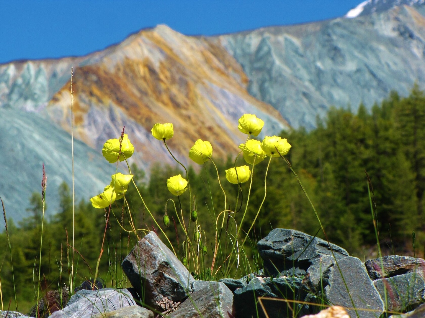 Усадьба Сокол - фото 28