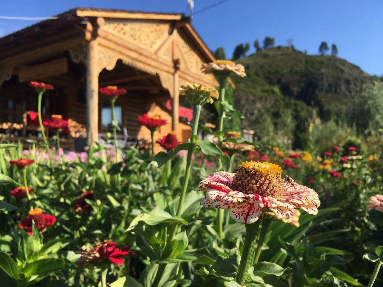 Усадьба Сокол - фото 41