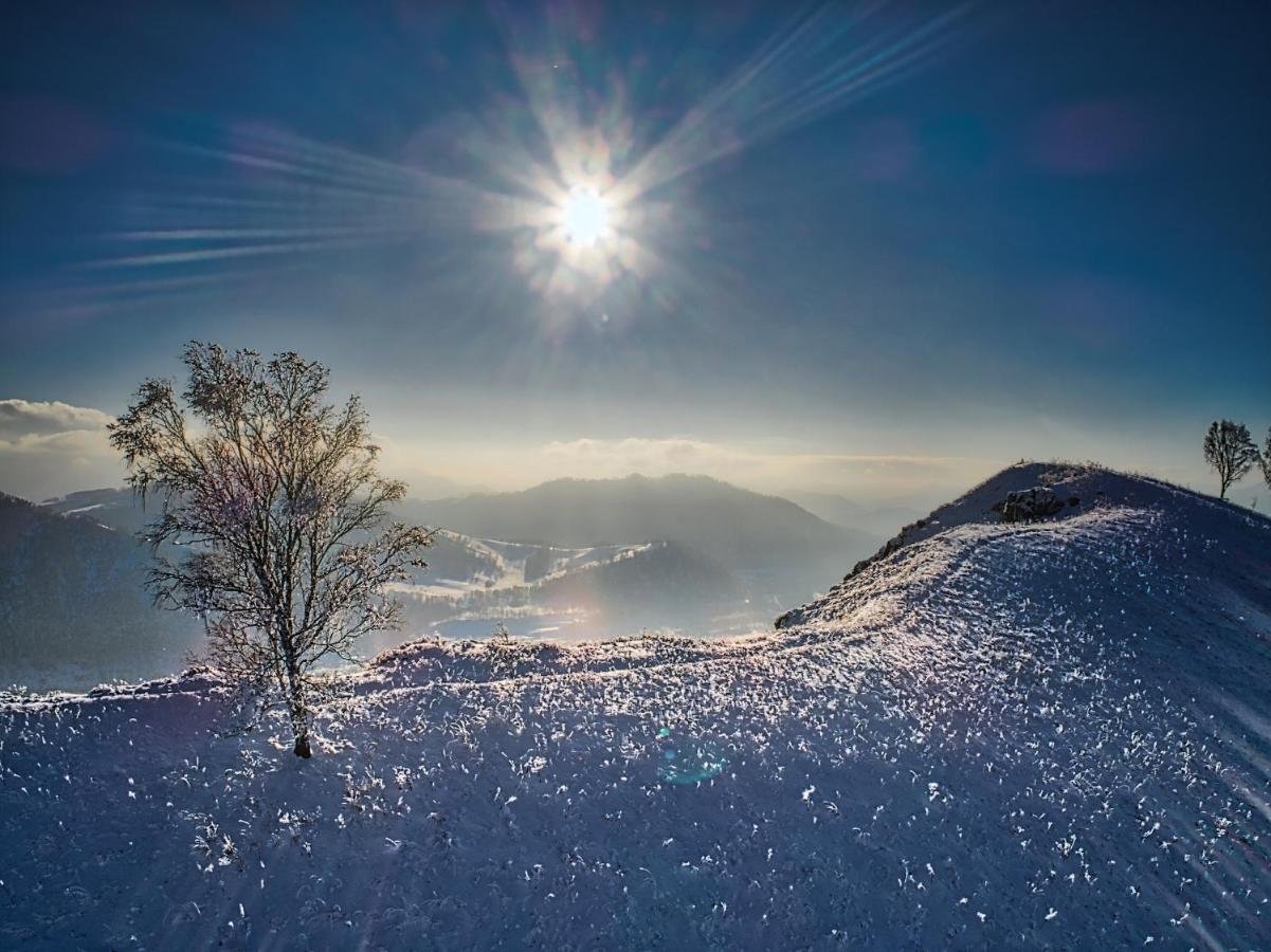 Усадьба Сокол - фото 55