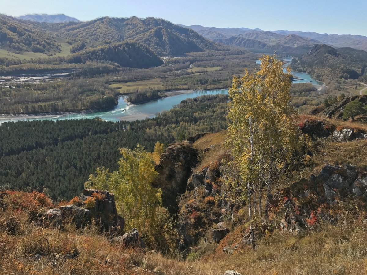 Усадьба Сокол - фото 82