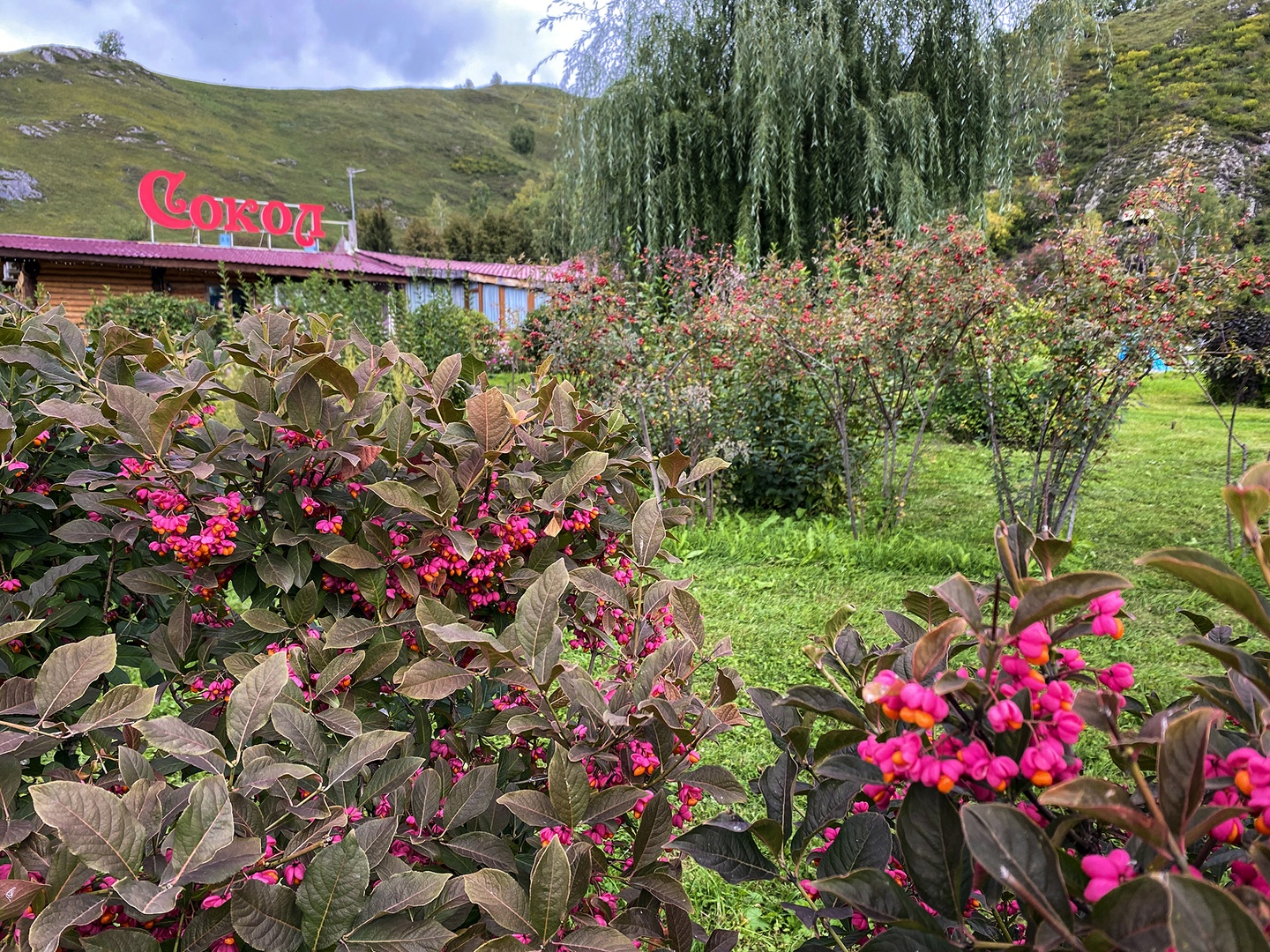 Усадьба Сокол - фото 90